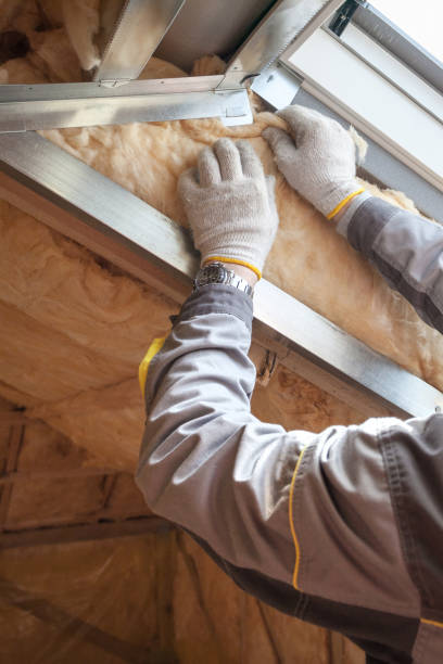 Best Insulation for New Construction  in Citronelle, AL